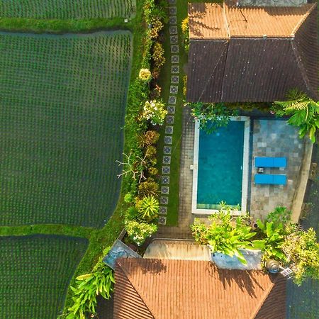 Ubud Glassy Villa By Pramana Villas Экстерьер фото