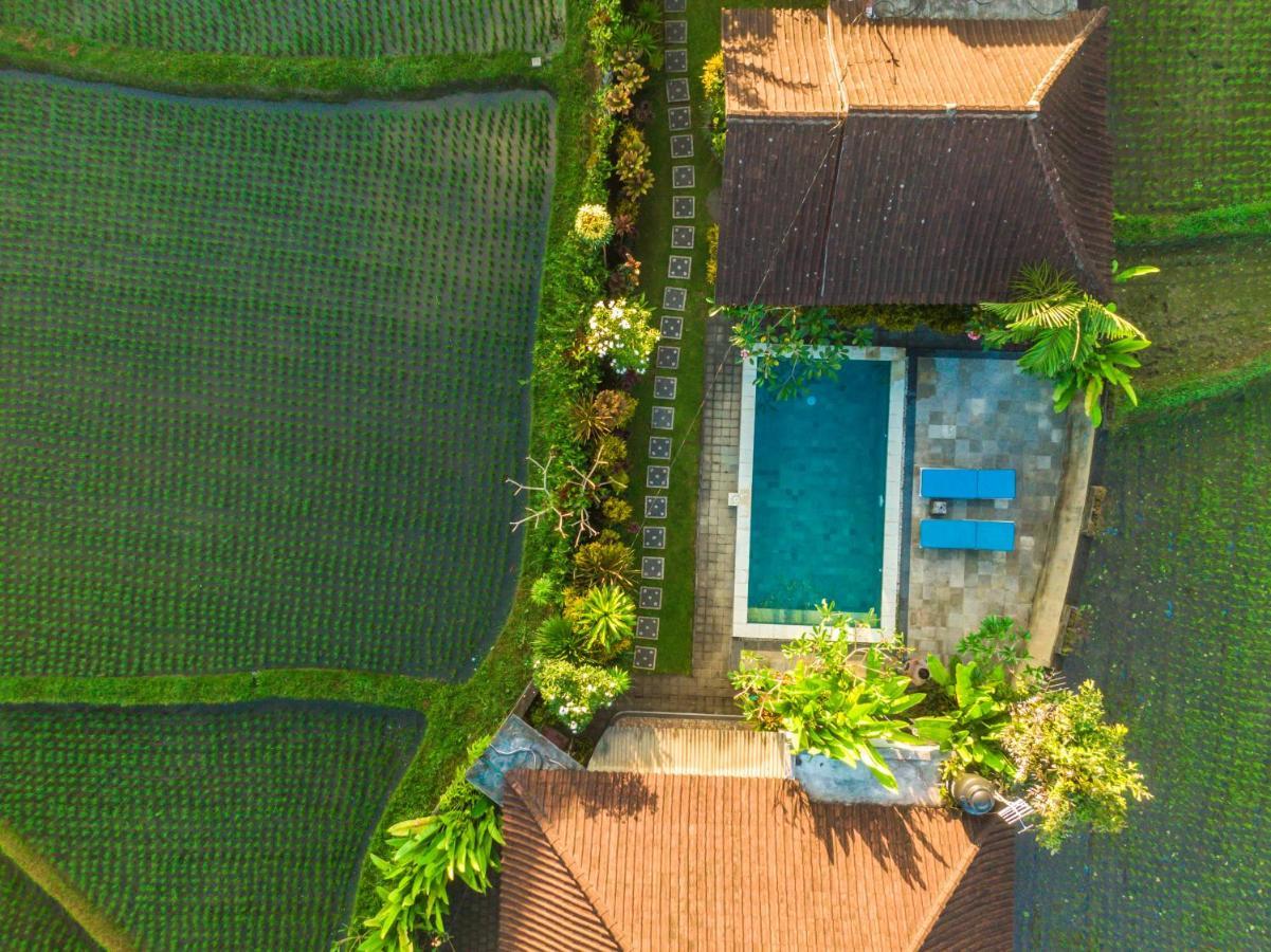 Ubud Glassy Villa By Pramana Villas Экстерьер фото